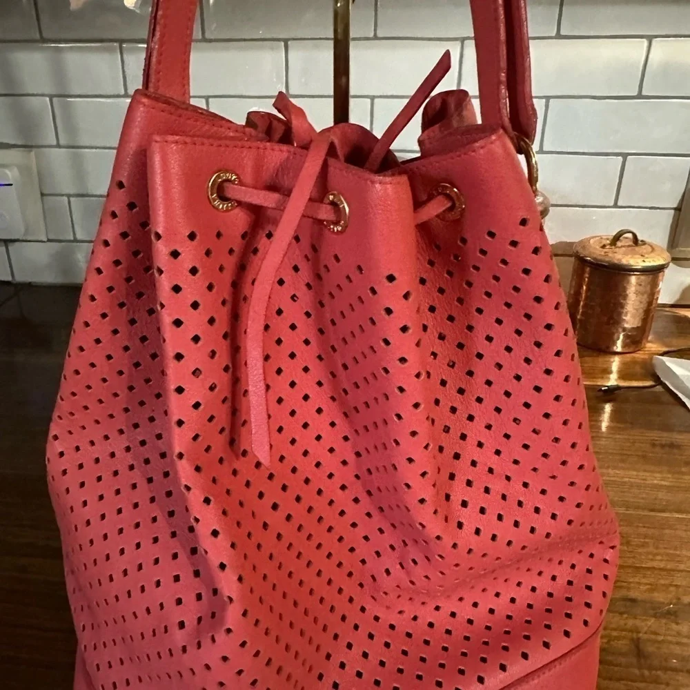 Louis Vuitton Pink Hobo Bag with Perforated Design
